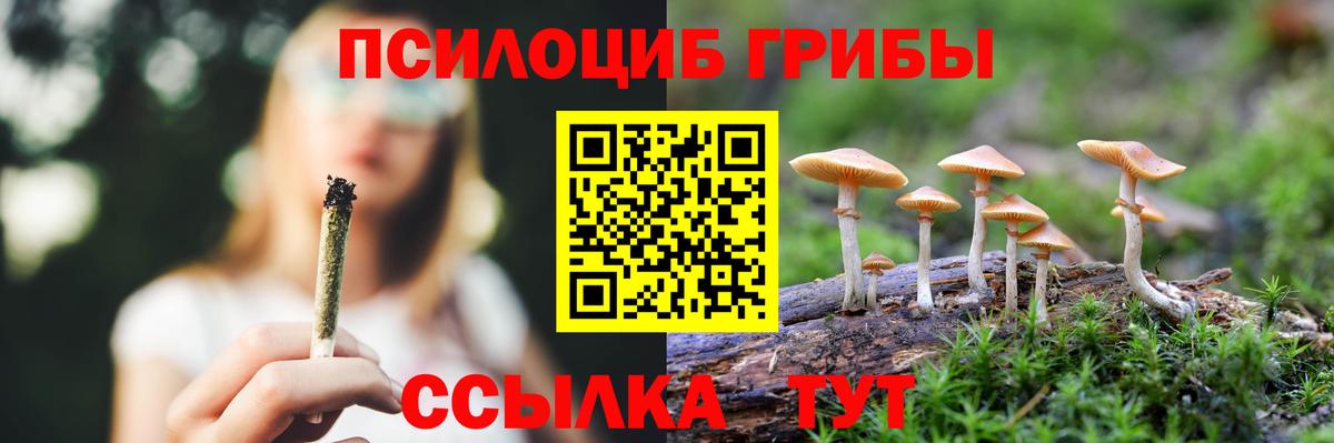 Псилоцибиновые грибы прущие грибы  Вход с VPN  Кимры  Галлюциногенные грибы Psilocybine cubensis 